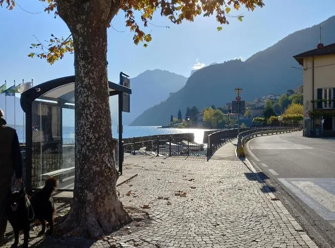 Casa Max Apartment *