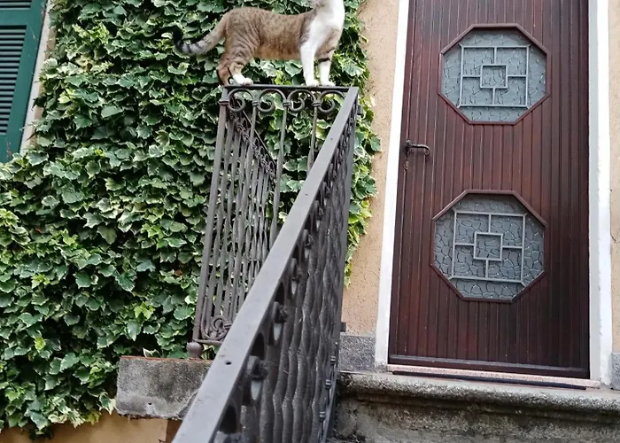 Casa Max Apartment Onno